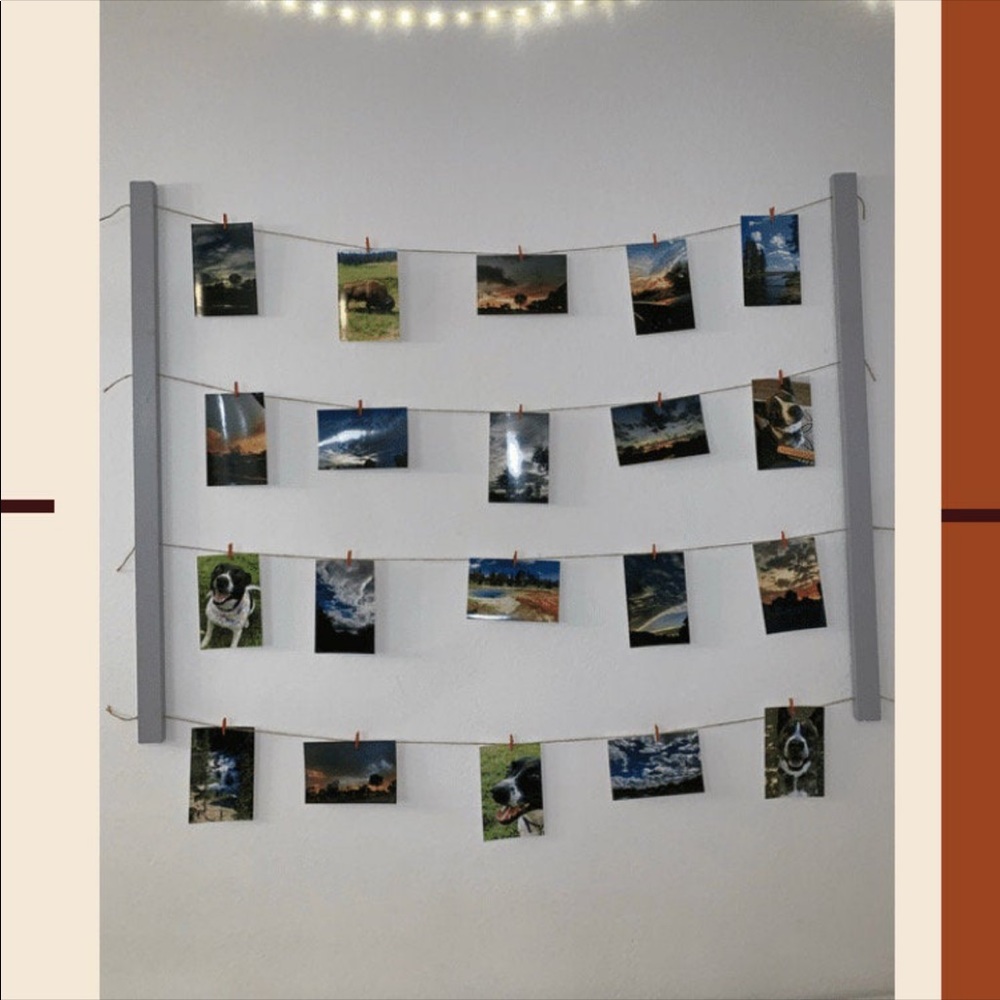 Large Photo Wall Hanger and Clips